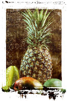 exootsche Fr&uuml;cht