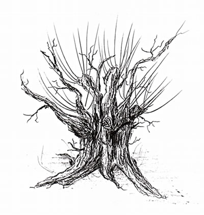 Wichelgeist. Teknen: Ole Nissen