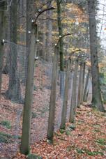 Dei Tuhn. Bild: Andreas Held/Wikimedia Commons