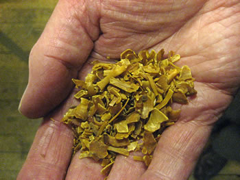 Macis, Muskatbl&ouml;&ouml;d