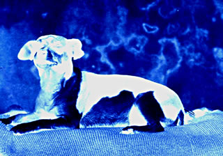 M&auml;nne ut dat D&uuml;&uuml;ster