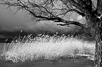 Winterstorm. Foto: Krister 67/Pixelio