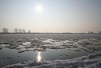 Iesschollen. Foto: Master 76/Pixelio 