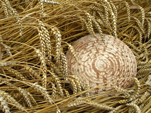 Bild: Sahara C. /Pixelio