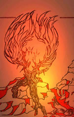 Mose sin brennen Doornbusch - Rudi Witzke