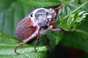 Pixelio.de &copy;  Gerd Wolff