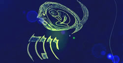 Jona - Rudi Witzke. Klick = Bild gr&ouml;tter!