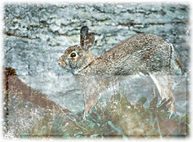 Den Achtersten hooch!