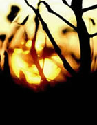 S&uuml;nn&uuml;nnergang. Foto, digitaal nabearbeid