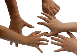 Vele Hannen warrt en Br&uuml;ch. Pixelio, Foto Stefan Hofschlaeger