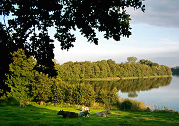 "Er gibt den K&uuml;hen Weide" -- un wat f&ouml;r een!