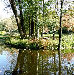 Ole B&ouml;&ouml;m spegelt sik