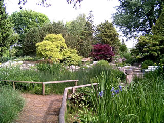 Schoolgoorn in L&uuml;beck