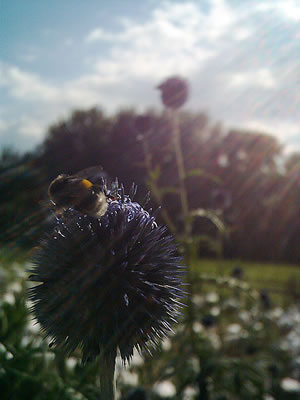 Klick op to'n Vergr&ouml;ttern!