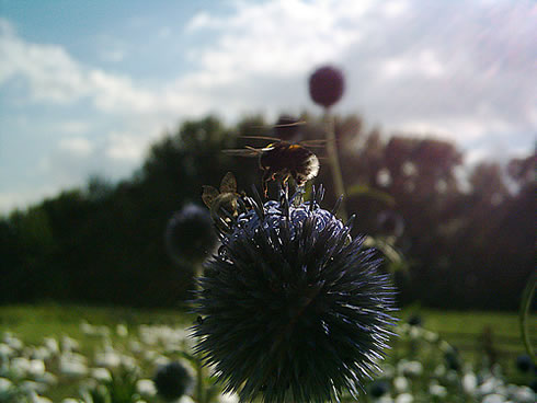 Klick op to'n Vergr&ouml;ttern!