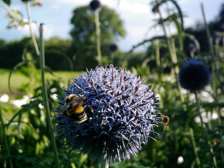 Klick op to'n Vergr&ouml;ttern!