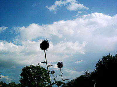 Klick op to'n Vergr&ouml;ttern!