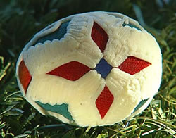 Binsen-Ei.  -- Klick op to'n Vergr&ouml;ttern!