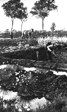 Bi't T&ouml;rfsteken