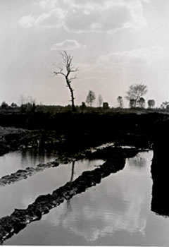 T&ouml;rfkuhlen bi Oldend&ouml;rp