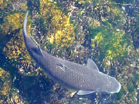 Sch&ouml;n -- un lecker!