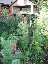 Dat Vagelhus mit den gef&auml;hrlichen  Struuk