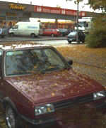 natte Bl&auml;der, Harvst, Regen...