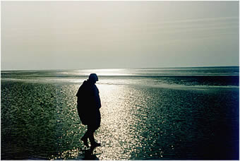 Op Bernsteens&ouml;&ouml;k