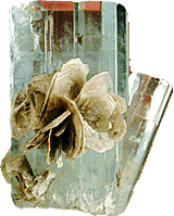 klorer Beryll, de S&ouml;sskantstruktuur is to sehn