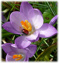 Rumms, afst&ouml;rt!