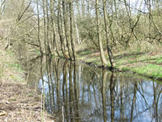 In de Boberger Niederung