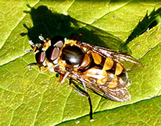 Hm, sch&ouml;&ouml;&ouml;n...