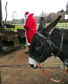 S&uuml;nnerklaas sin Esel vertellt