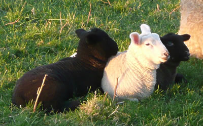 Soooo m&ouml;&ouml;&ouml;&ouml;d...!