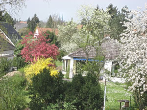 Utkiek ut dat Finster. -- Klick op to'n Vergr&ouml;ttern!