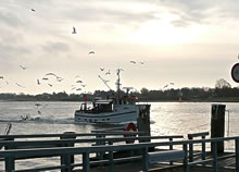 Morgenstimmung mit Kutter