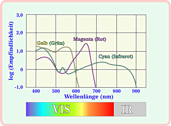 Afbild 2: F&ouml;r jedeinen Filmtyp werd utm&auml;ten up wat f&ouml;r Lechtfarven dei einkeln Filmlaogen reageern daut. Bi IR-Filme fallt b's&uuml;nners up, dat eine Laoge (Cyan) uk f&ouml;r IR-Lecht sensibel is.  Se k&ouml;&ouml;nt dat Bild d&ouml;r Klick vergr&ouml;ttern! Tr&uuml;gge kaomt Sei wer mit den "Zur&uuml;ck"-Knoop up dei Symbollieste