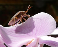 Greet kann ok Seildanzen!