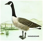 Kanadagoos