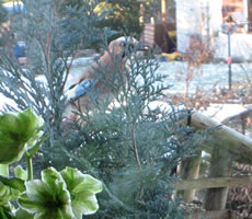 Vagelhus to l&uuml;tt? Pah!