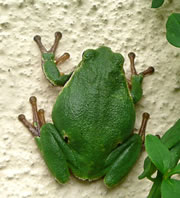 Klick op to'n Vergr&ouml;ttern!