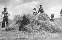 Heu noog! So wurr dat fr&ouml;her maakt