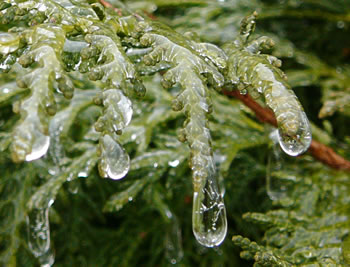 Iesregen. -- Klick op to'n Vergr&ouml;ttern!