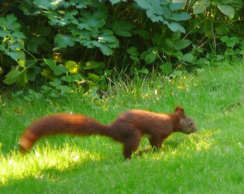 &Uuml;nnerwegens.  -- Klick op to'n Vergr&ouml;ttern!