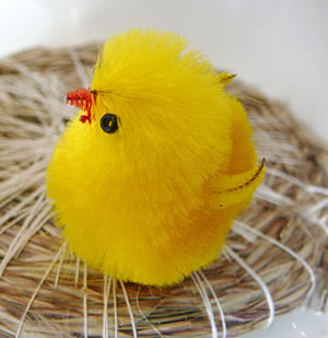 Dat namaakte Küken is nich halv so sööt, nich?