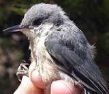 Hebbt se di vergeten, l&uuml;tt Klever?