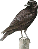 Placken oder nich Placken -- wat in den Kopp binn is, dorop k&uuml;mmt dat an!