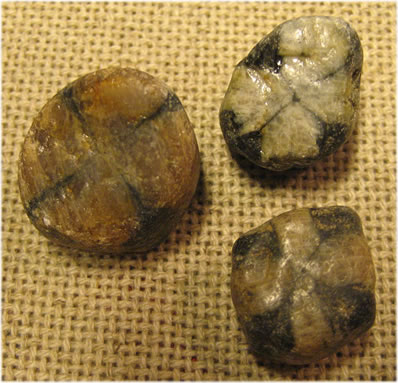 Kr&uuml;&uuml;zsteen. -- Klick op to'n Vergr&ouml;ttern!