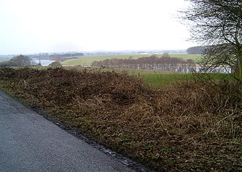 De Laichstell an'n Taschensee. -- Klick op to'n Vergr&ouml;ttern!