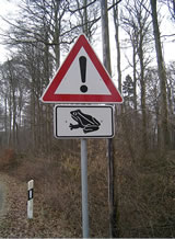 Wohrschu: Kr&ouml;tenwannerung!  -- Klick op to'n Vergr&ouml;ttern!